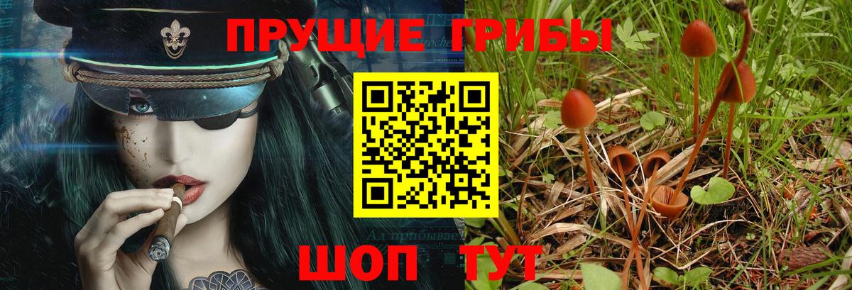 МДМА  ГАШ  Саранск  Вход с VPN  МЕФ   Марихуана  МЕТ 