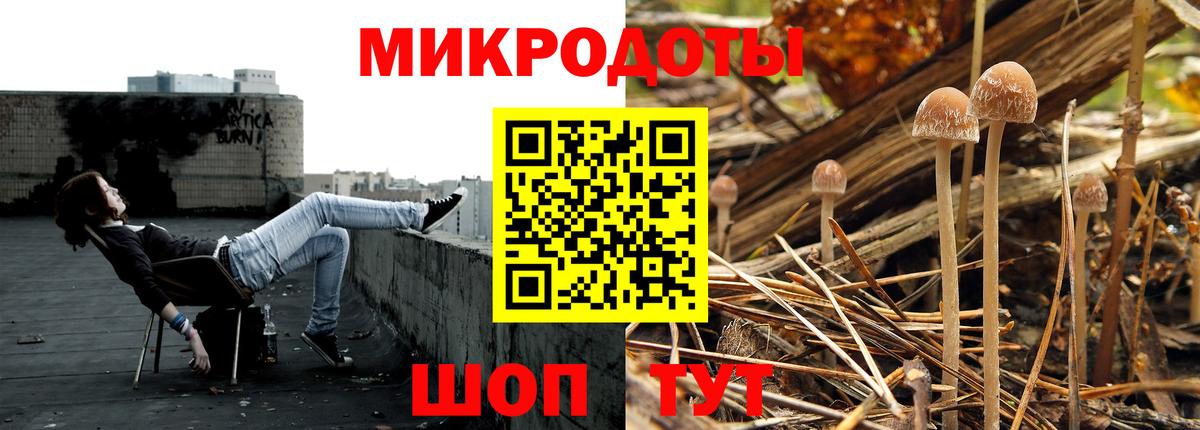 Саранск  Галлюциногенные грибы Cubensis  Вход с VPN 