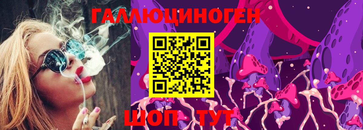 Псилоцибиновые грибы мицелий  Псилоцибиновые грибы Psilocybe  Саранск 