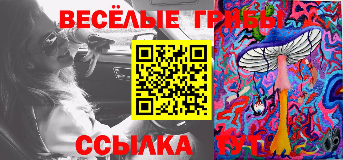 Псилоцибиновые грибы мицелий Саранск