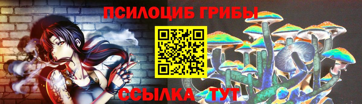 Псилоцибиновые грибы GOLDEN TEACHER Саранск